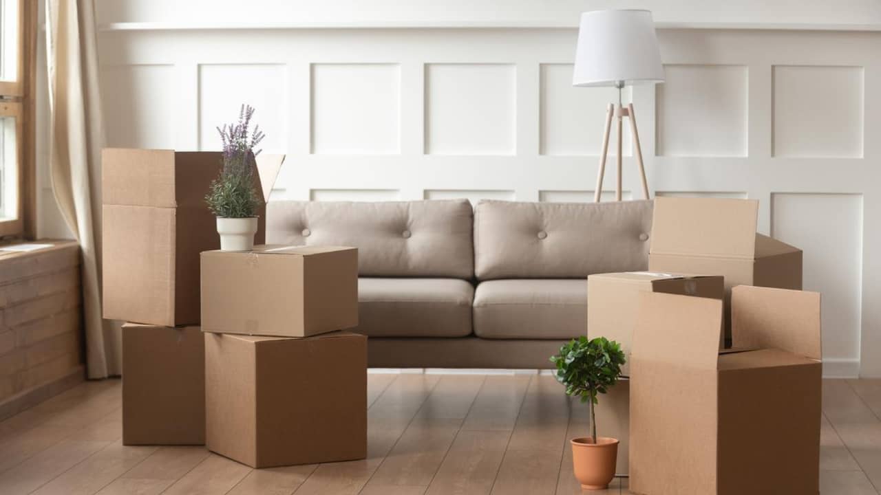 domestic moving company