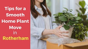 Efficient Strategies for a Smooth Home Plant Move in Rotherham